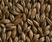 Солод Castle Malting Chateau Cara Blond 20 EBC 1 кг Солод Castle Malting Chateau Cara Blond 20 EBC 1 кг