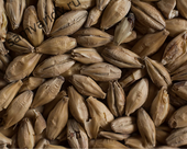 Солод Castle Malting Chateau Whisky 35 ppm 1 кг