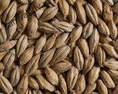 Солод Castle Malting Distilling Light 0 ppm 1 кг