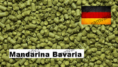 Хмель Mandarina Bavaria 1 г